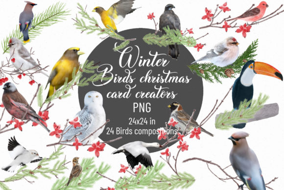 Review: Winter Birds Christmas Card Creators PNG