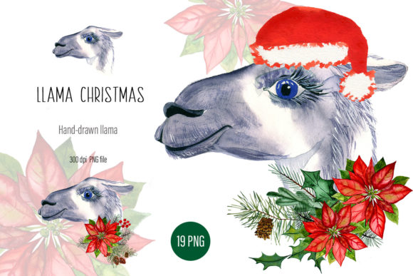 Watercolor Llama Christmas Clipart & Illustrations